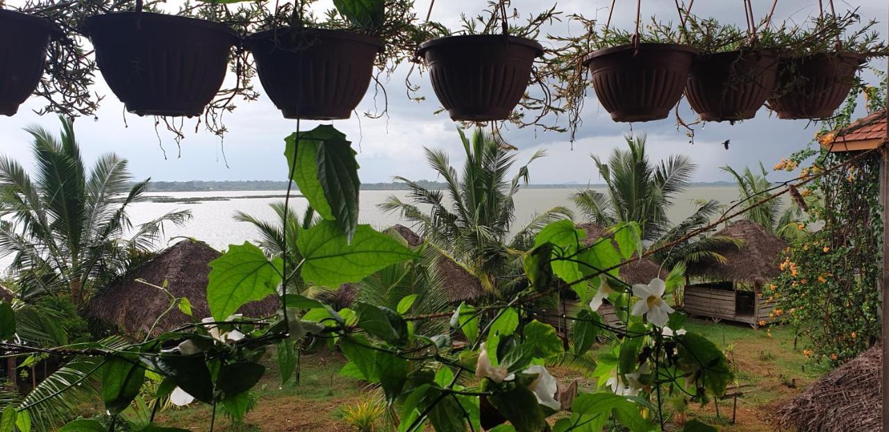 Rise & Set Arugam Bay Hotel Exterior photo