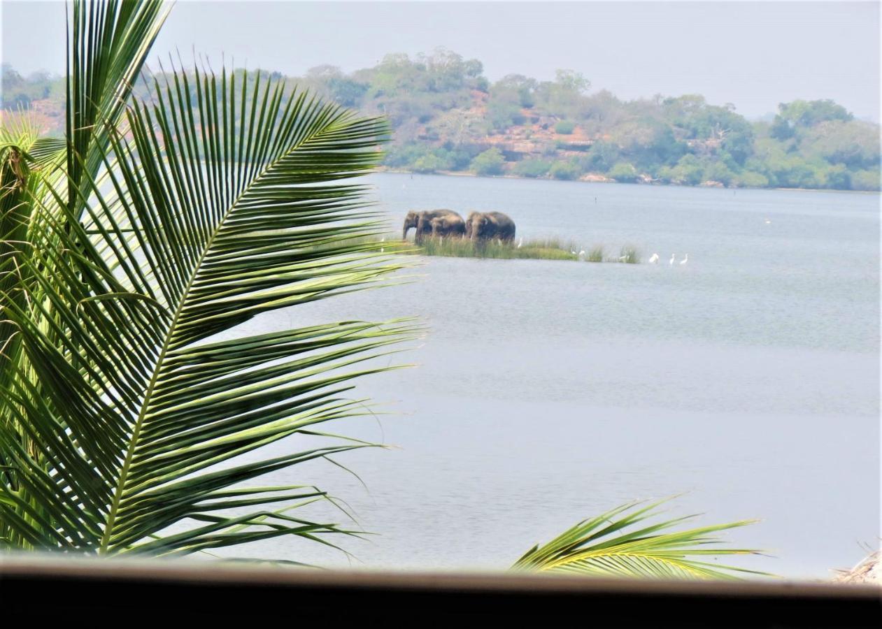 Rise & Set Arugam Bay Hotel Exterior photo