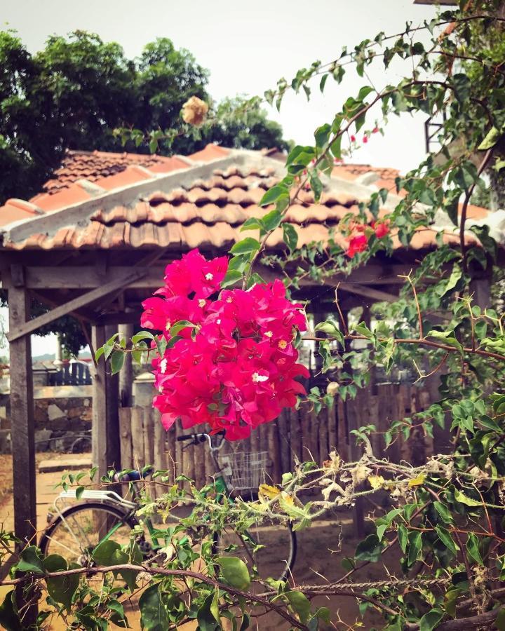 Rise & Set Arugam Bay Hotel Exterior photo